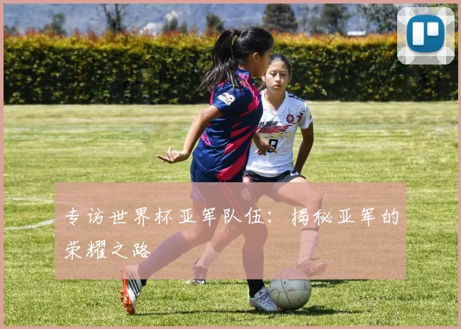 专访世界杯亚军队伍：揭秘亚军的荣耀之路
